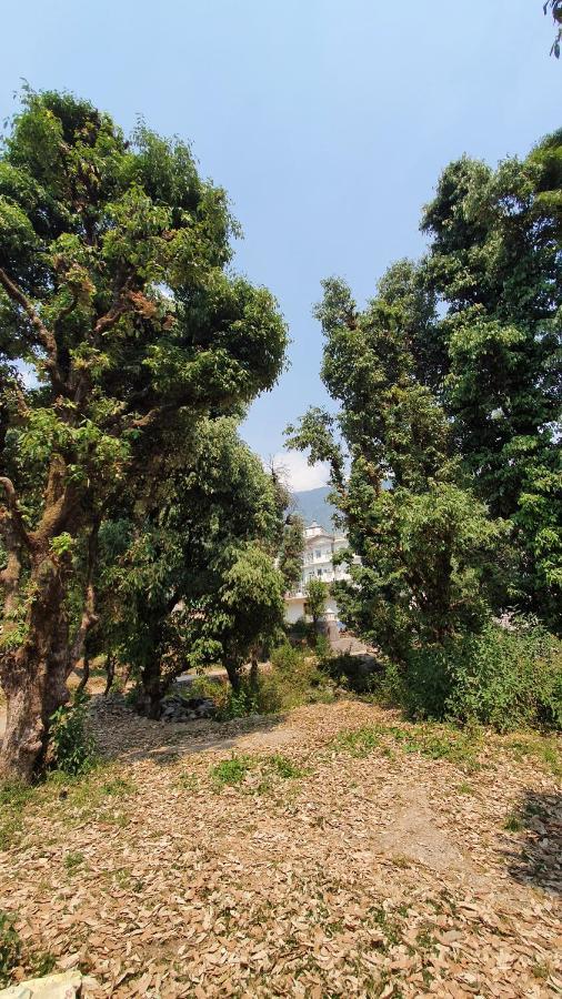 Nomadic Inn Dharamshala Ngoại thất bức ảnh